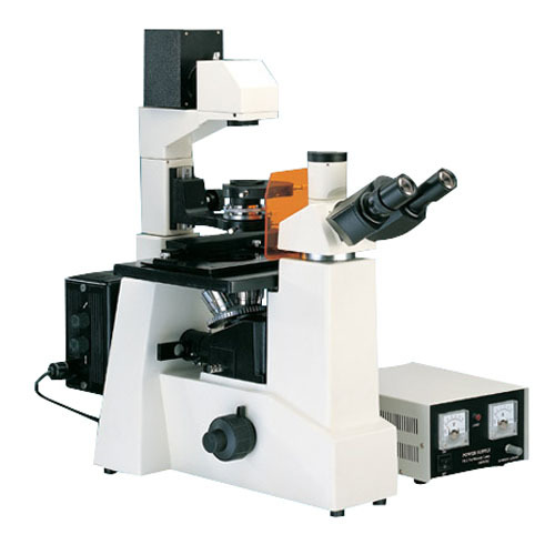 【FW-D200-37FB倒置荧光显微镜销售】价格,厂家,图片,电子显微镜,重庆发为科技-